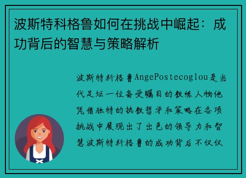 波斯特科格鲁如何在挑战中崛起：成功背后的智慧与策略解析